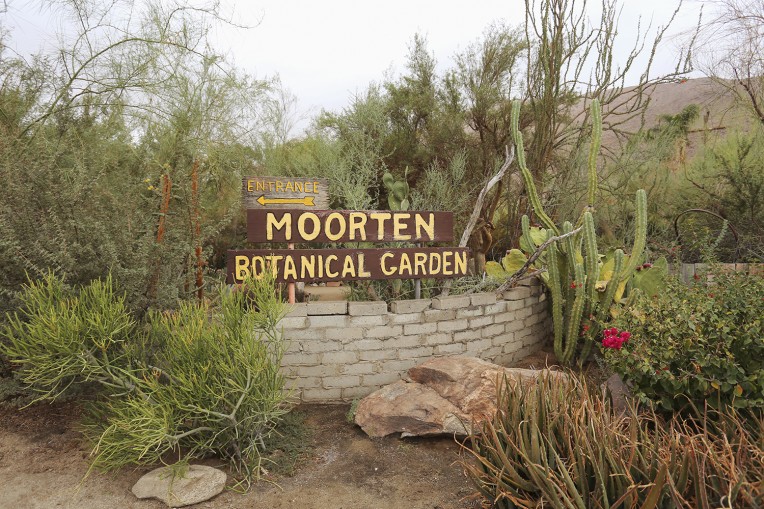 moorten-botanical-garden
